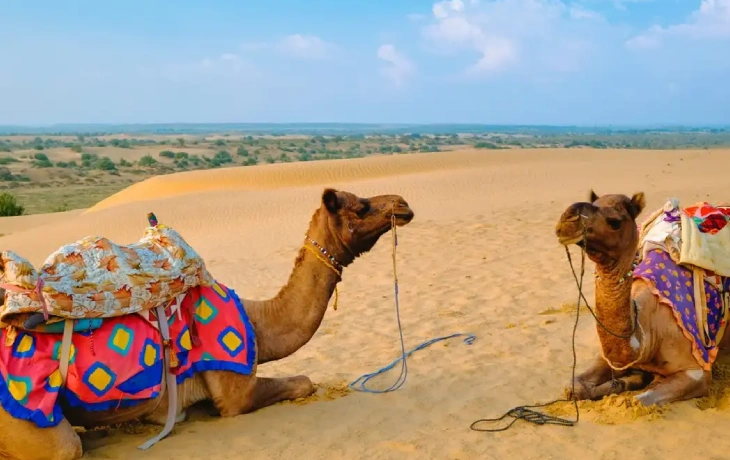 Rajasthan Desert Safari Tour