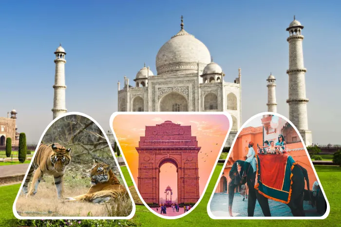 Delhi Agra Jaipur Ranthambore Tour Package
