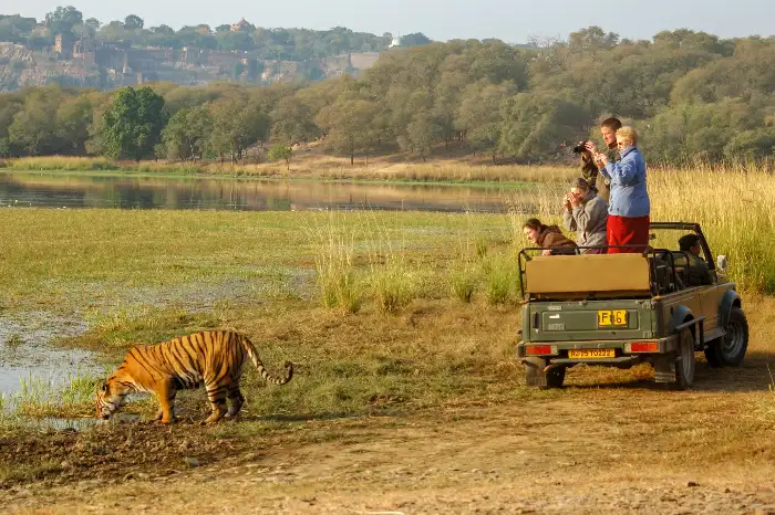 Jaipur to Ranthambore Same Day Tour