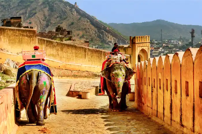 Rajasthan Tour Itinerary For 8 Days