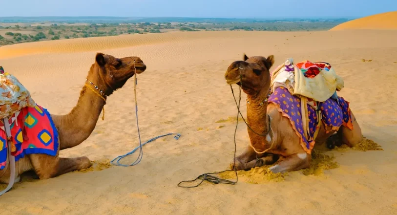 How to Plan a Rajasthan Trip (Step-by-Step Guide)