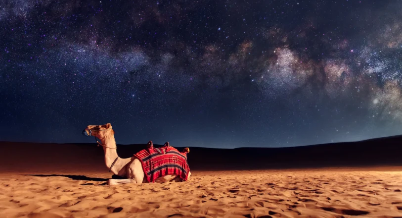 Stargazing (Under the stars)