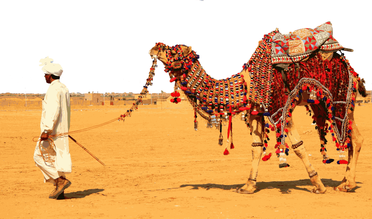 Best tour service in Rajasthan