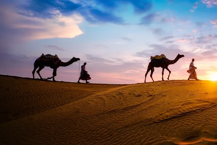 Jaisalmer Sightseeing Tour Package