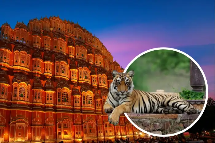 Ranthambore Jaipur Tour Package