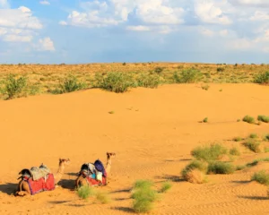 Rajasthan Desert Tour Package
