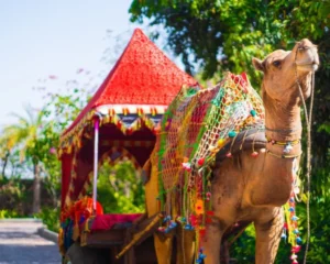 Rajasthan Itinerary For 7 Days