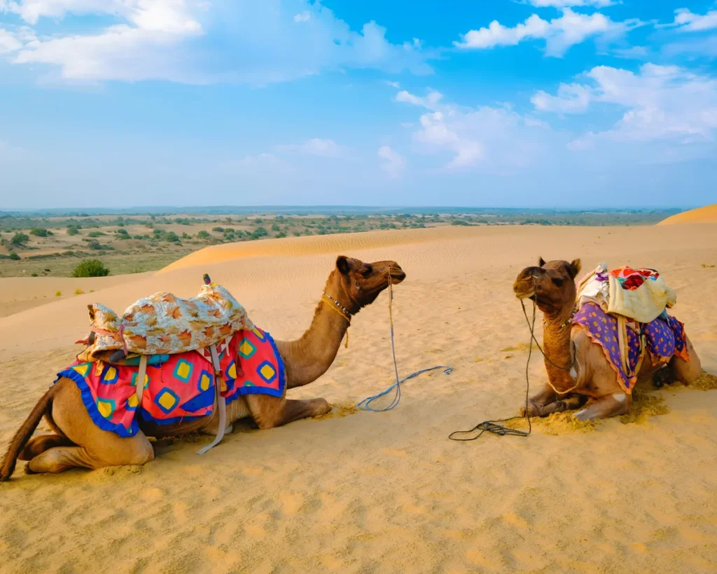 Rajasthan Tour Packages From Hyderabad