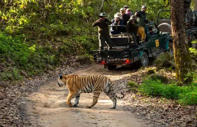 Ranthambore National Park