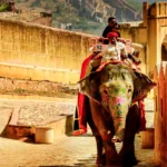 Rajasthan Tour Itinerary For 8 Days