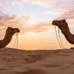 Best Time to Visit Rajasthan