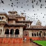 Jaipur Ranthambore Tour Package