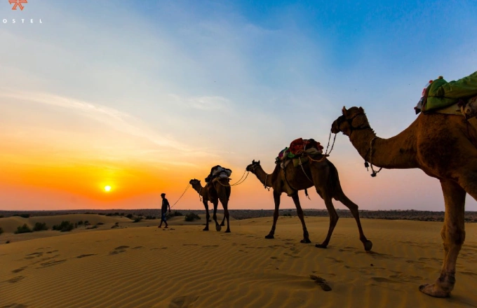 Sam Dunes - Jaisalmer