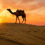 4 days rajasthan tour