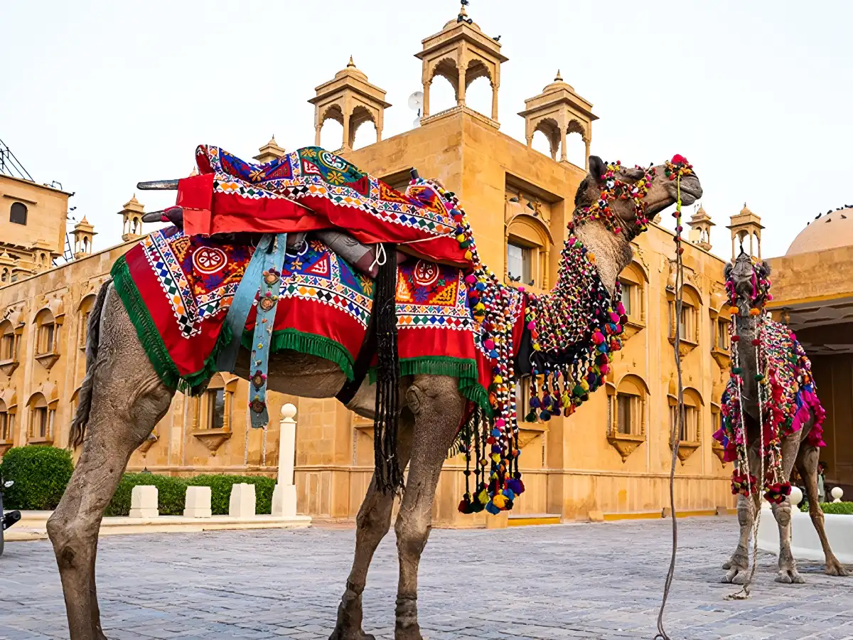 Rajasthan Tour Packages