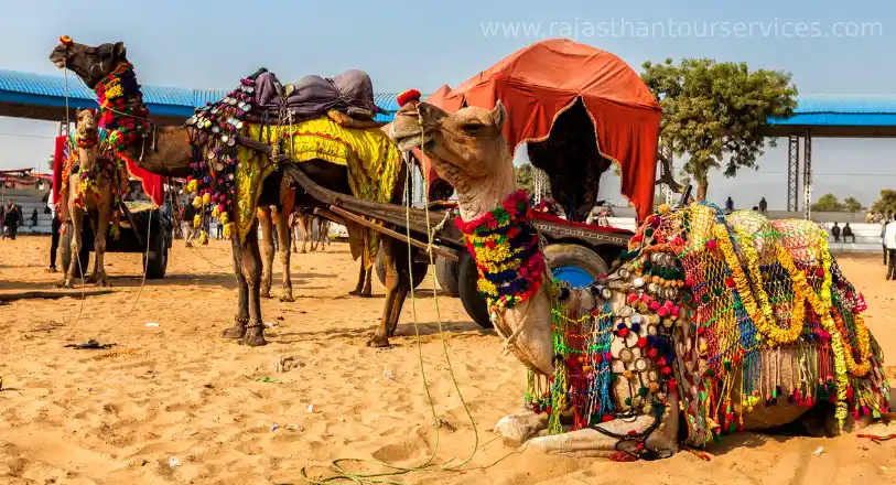 Pushkar