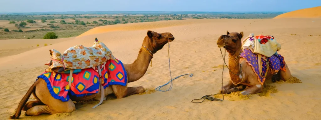 rajasthan-tour-packages-from-mumbai