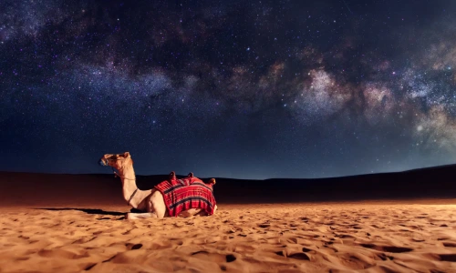 Stargazing at Jaisalmer desert Stargazing at Jaisalmer desert