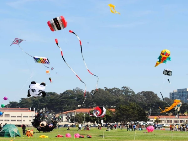Kite Festival Jaipur Kite Festival Jaipur
