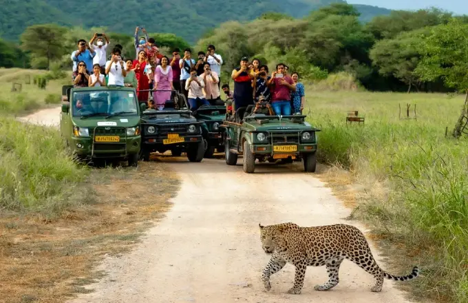 Jhalana Leopard Safari Jhalana Leopard Safari