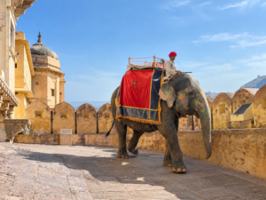 Rajasthan Itinerary For 7 Days 6 Nights