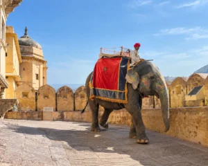 Rajasthan Itinerary For 7 Days Rajasthan Itinerary For 7 Days